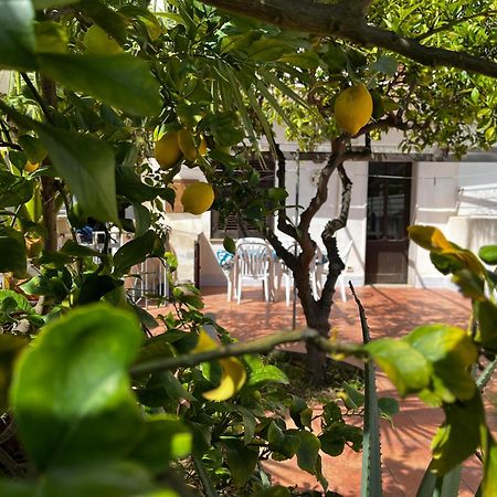 Casa Ciccio Daire San Vito Lo Capo Dış mekan fotoğraf