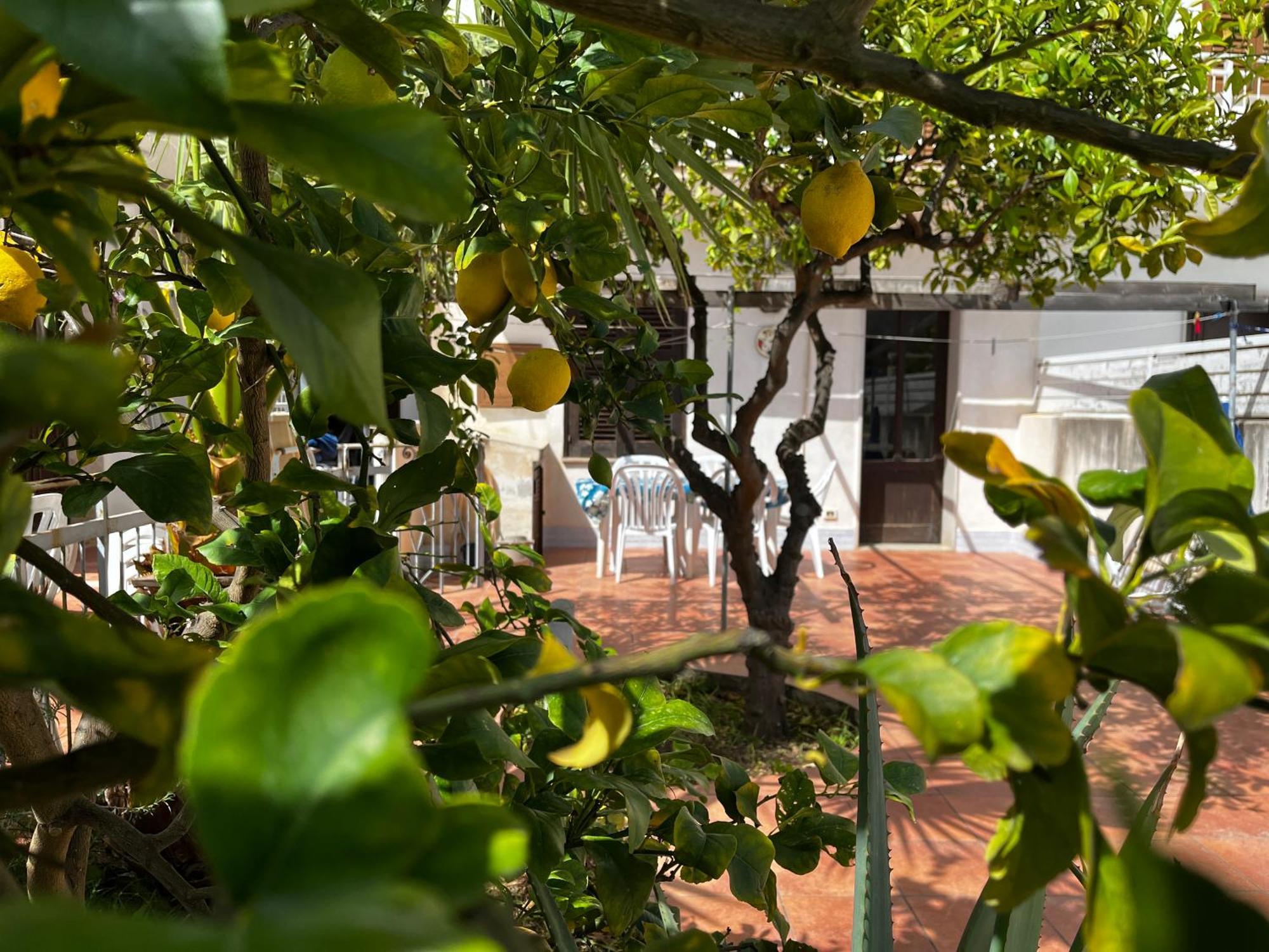 Casa Ciccio Daire San Vito Lo Capo Dış mekan fotoğraf